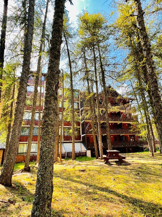La Joue Du Loup, Aux Pieds Des Pistes Et Vue Sur Montagnes Apartment Exterior photo